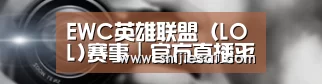公司动态