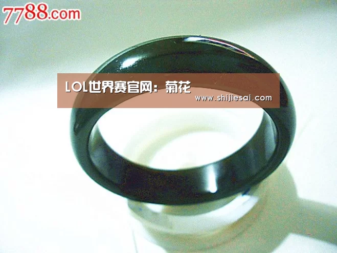 LOL世界赛官网:菊花(图2) 英雄联盟世界赛